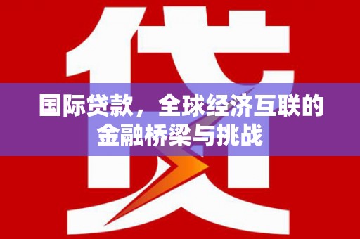双鸭山国际贷款，全球经济互联的金融桥梁与挑战