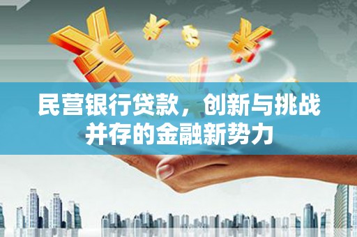 双鸭山民营银行贷款，创新与挑战并存的金融新势力