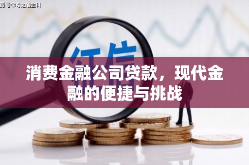 双鸭山消费金融公司贷款，现代金融的便捷与挑战