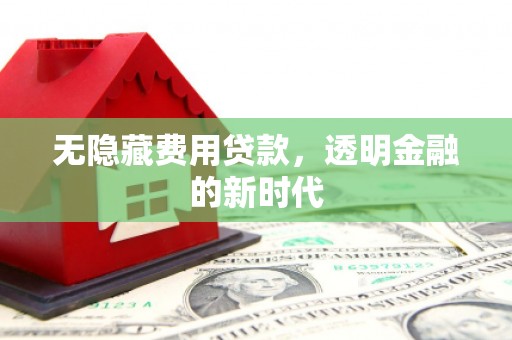 双鸭山无隐藏费用贷款，透明金融的新时代