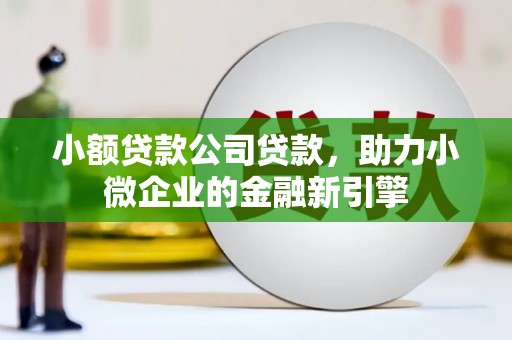 双鸭山小额贷款公司贷款，助力小微企业的金融新引擎