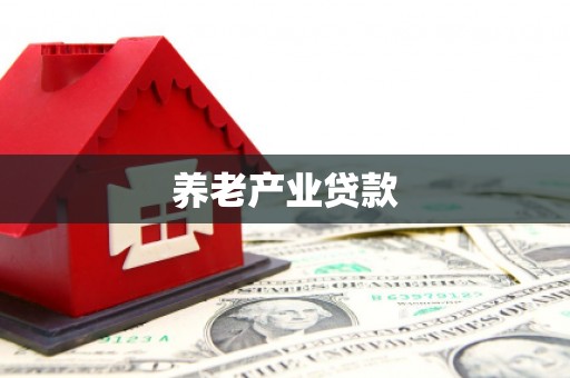 双鸭山养老产业贷款