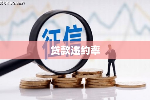 双鸭山贷款违约率