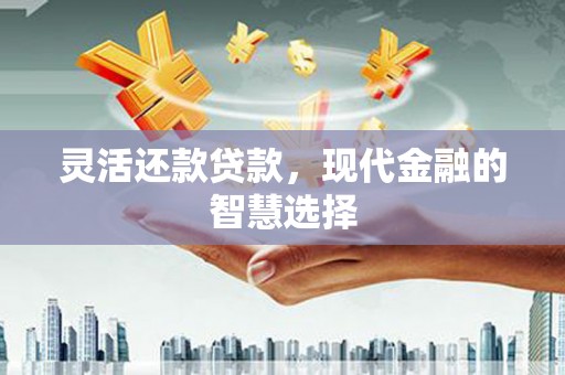 双鸭山灵活还款贷款，现代金融的智慧选择