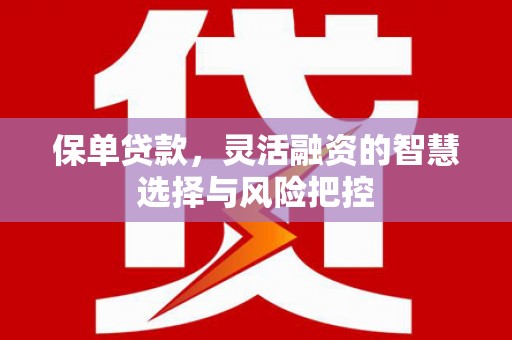 双鸭山保单贷款，灵活融资的智慧选择与风险把控