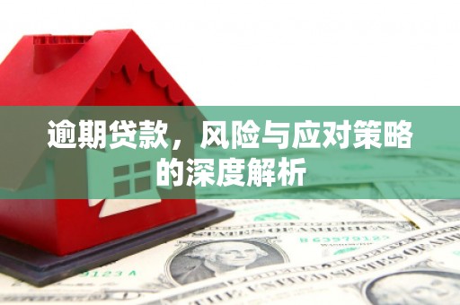 双鸭山逾期贷款，风险与应对策略的深度解析