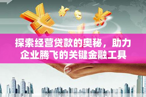 双鸭山探索经营贷款的奥秘，助力企业腾飞的关键金融工具
