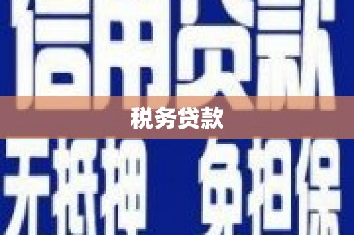 双鸭山税务贷款