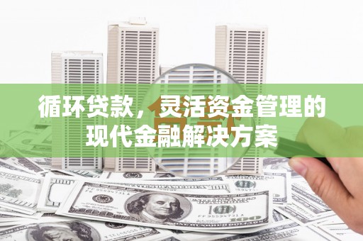 双鸭山循环贷款，灵活资金管理的现代金融解决方案