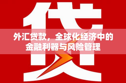 双鸭山外汇贷款，全球化经济中的金融利器与风险管理