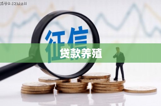 双鸭山贷款养殖