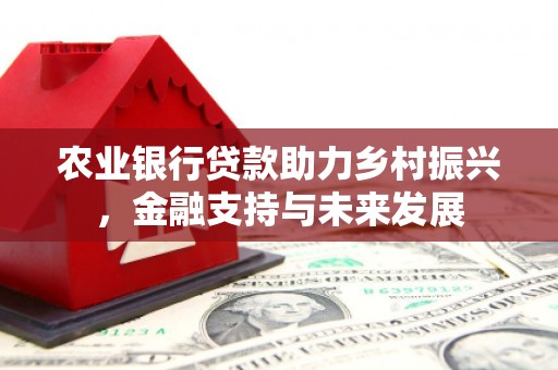 双鸭山农业银行贷款助力乡村振兴，金融支持与未来发展
