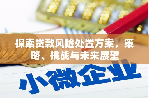 双鸭山探索贷款风险处置方案，策略、挑战与未来展望