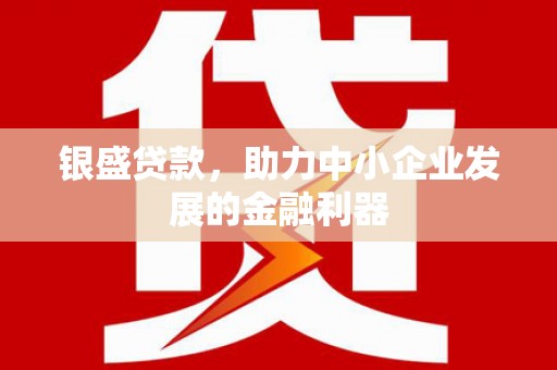 双鸭山银盛贷款，助力中小企业发展的金融利器