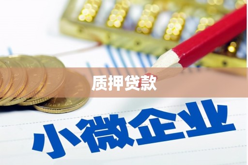 双鸭山质押贷款