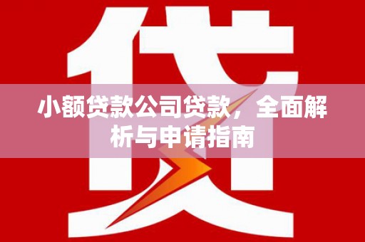 双鸭山小额贷款公司贷款，全面解析与申请指南