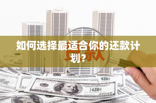 双鸭山如何选择最适合你的还款计划？