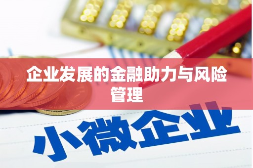 双鸭山企业发展的金融助力与风险管理
