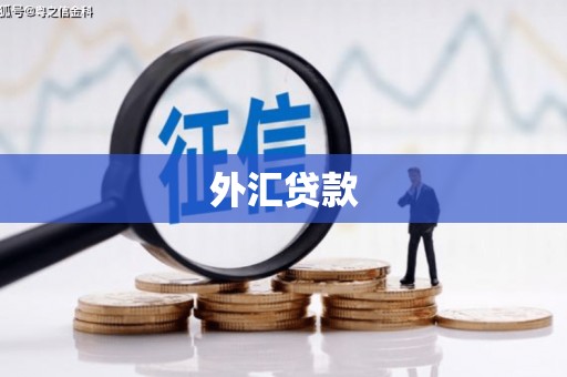 双鸭山外汇贷款