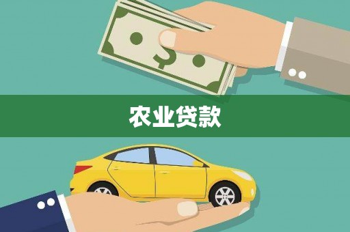 双鸭山农业贷款