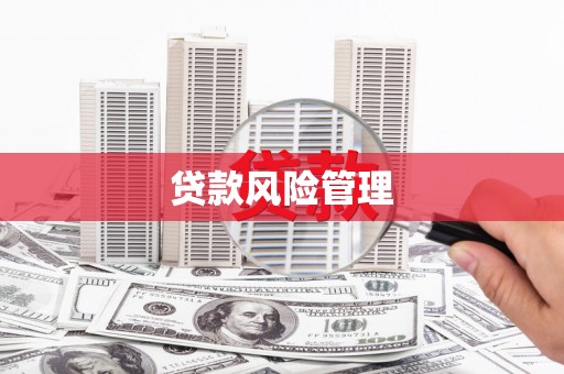 双鸭山贷款风险管理