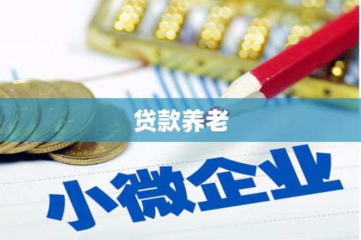 双鸭山贷款养老
