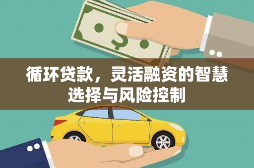 双鸭山循环贷款，灵活融资的智慧选择与风险控制