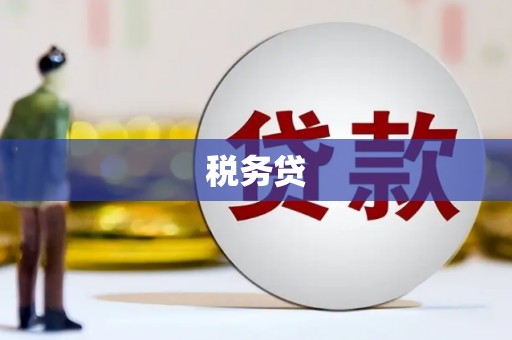 双鸭山税务贷