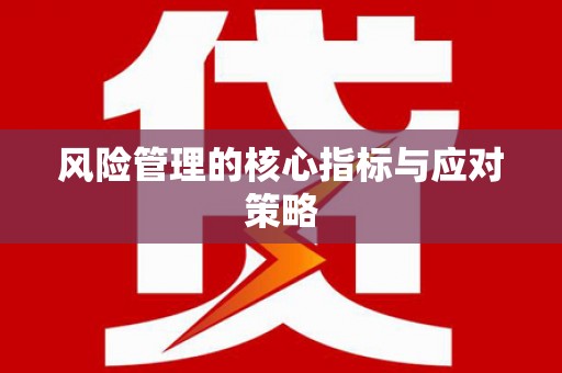双鸭山风险管理的核心指标与应对策略