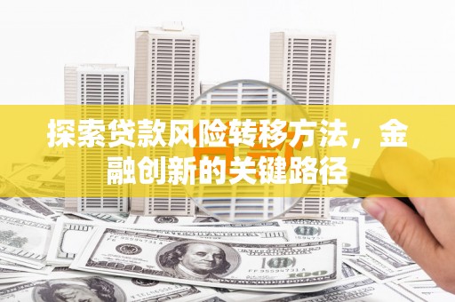 双鸭山探索贷款风险转移方法，金融创新的关键路径