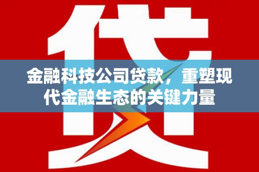 双鸭山金融科技公司贷款，重塑现代金融生态的关键力量
