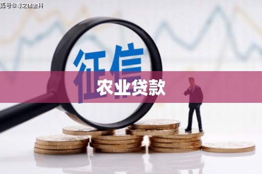 双鸭山农业贷款