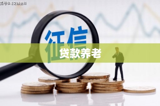 双鸭山贷款养老