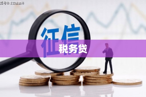 双鸭山税务贷