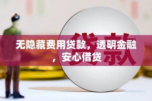 双鸭山无隐藏费用贷款，透明金融，安心借贷