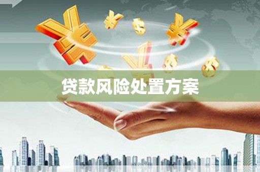 双鸭山贷款风险处置方案