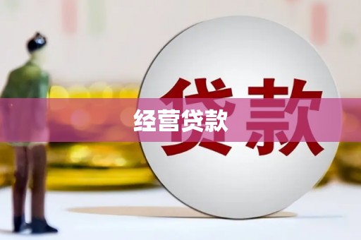 双鸭山经营贷款
