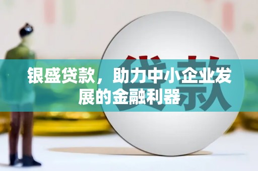 双鸭山银盛贷款，助力中小企业发展的金融利器