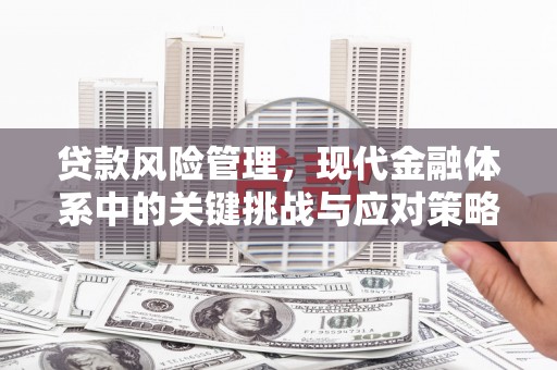 双鸭山贷款风险管理，现代金融体系中的关键挑战与应对策略