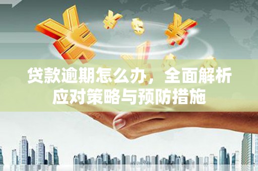 双鸭山贷款逾期怎么办，全面解析应对策略与预防措施