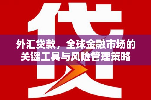 双鸭山外汇贷款，全球金融市场的关键工具与风险管理策略