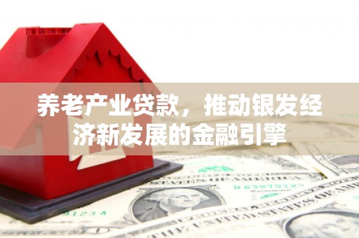 双鸭山养老产业贷款，推动银发经济新发展的金融引擎