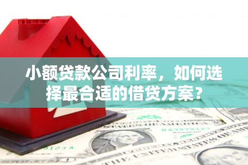双鸭山小额贷款公司利率，如何选择最合适的借贷方案？