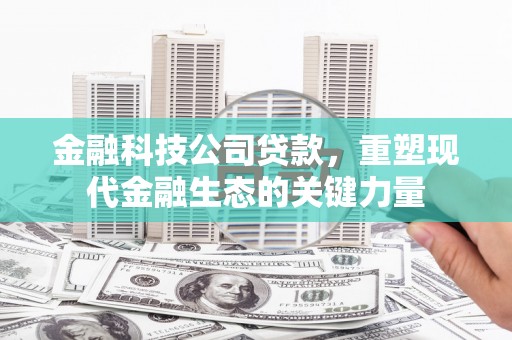 双鸭山金融科技公司贷款，重塑现代金融生态的关键力量