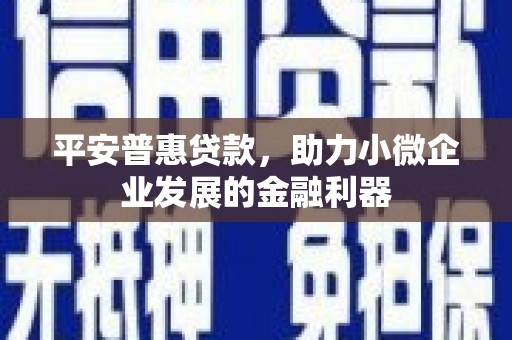 双鸭山平安普惠贷款，助力小微企业发展的金融利器