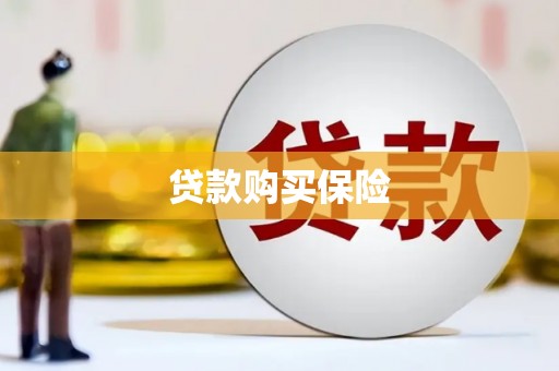 双鸭山贷款购买保险