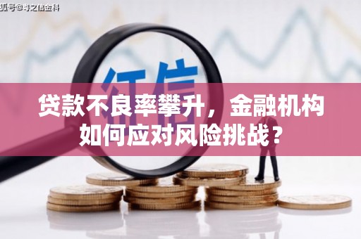 双鸭山贷款不良率攀升，金融机构如何应对风险挑战？