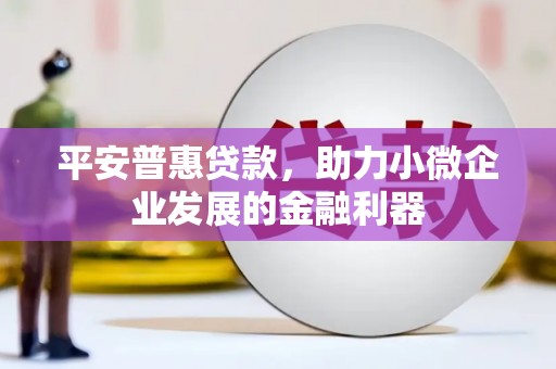 双鸭山平安普惠贷款，助力小微企业发展的金融利器