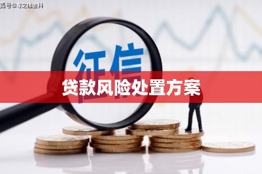 双鸭山贷款风险处置方案