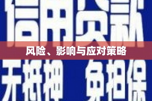 双鸭山风险、影响与应对策略